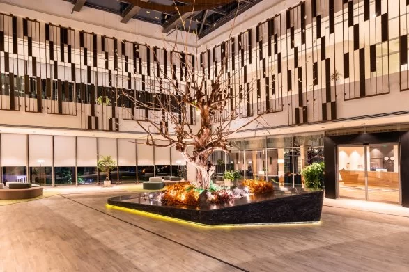 Lankaran Springs Wellness Resort 5*